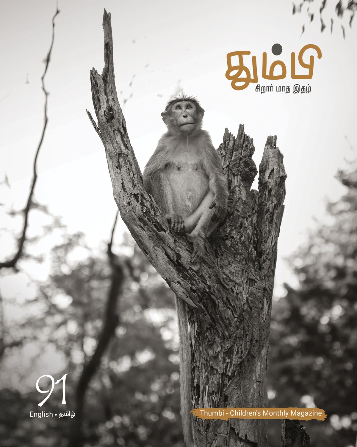 Cover_91_Final
